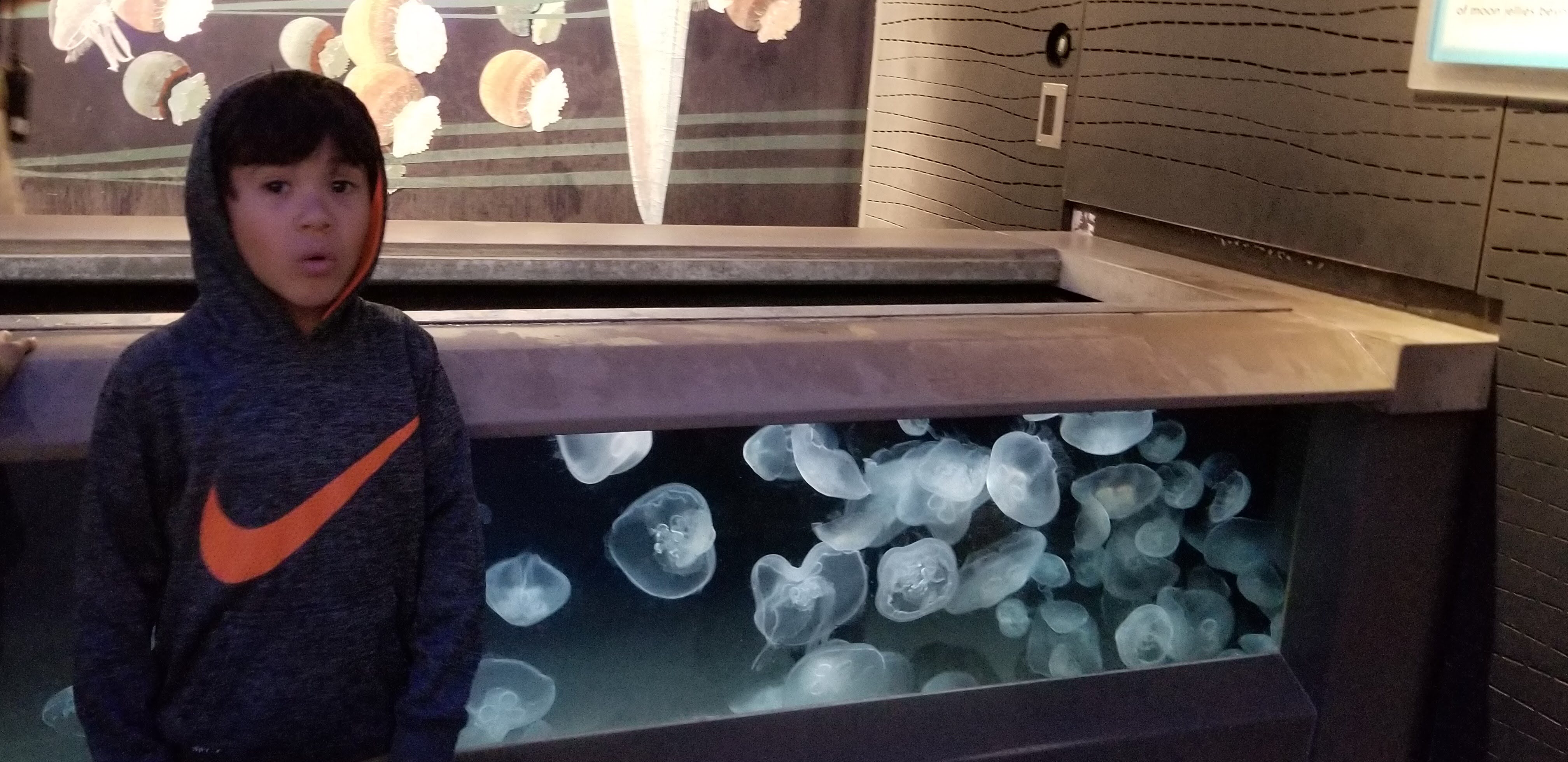 on my son's 2nd grade field trip to Baltimore Aquarium