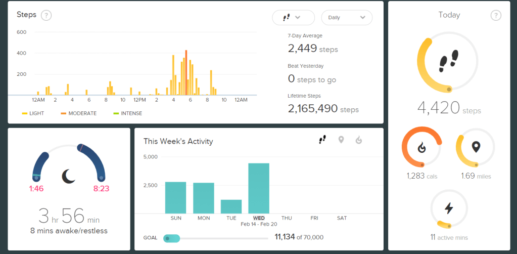 FitBit Stats-2021-02-17 II